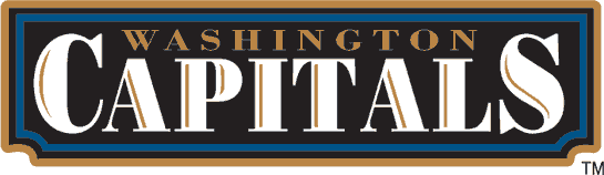 Washington Capitals 1995-2007 Wordmark Logo t shirts iron on transfers